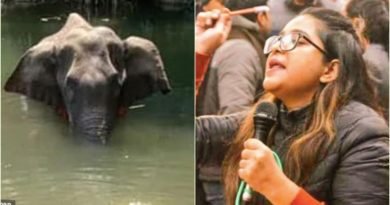 Elephant in Kerala (PTI); Jamia student Safoora Zargar (Twitter)