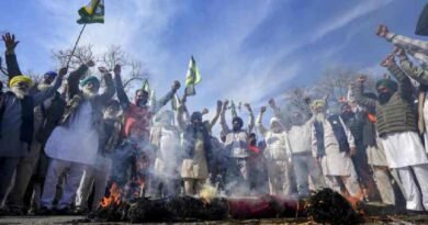 White House revises US India trade factsheet, drops pulses and softens pledge